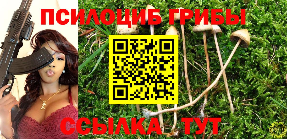 Псилоцибиновые грибы MAGIC MUSHROOMS  цена наркотик  Углич  Вход с VPN 
